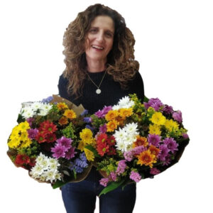 מייזר אביב