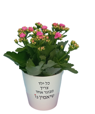 כל ילד צריך - ניצנית