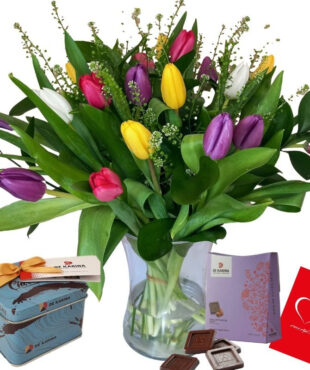 דיל טוליפ צבעוני סולו ליאור