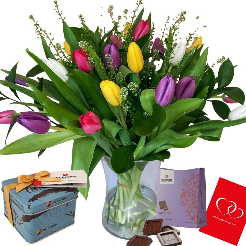 דיל טוליפ צבעוני סולו ליאור