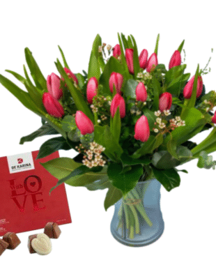 דיל טוליפ אדום סיגל