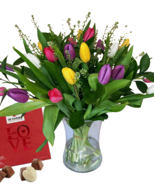 דיל טוליפ צבעוני מירי