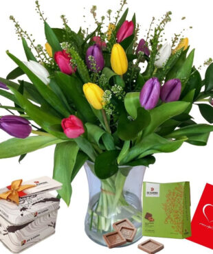 דיל טוליפ סולו דניאל