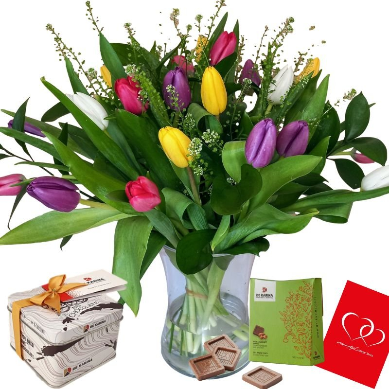 דיל טוליפ סולו דניאל