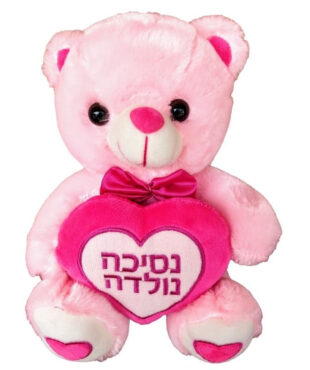 דובי פרווה נסיכה נולדה