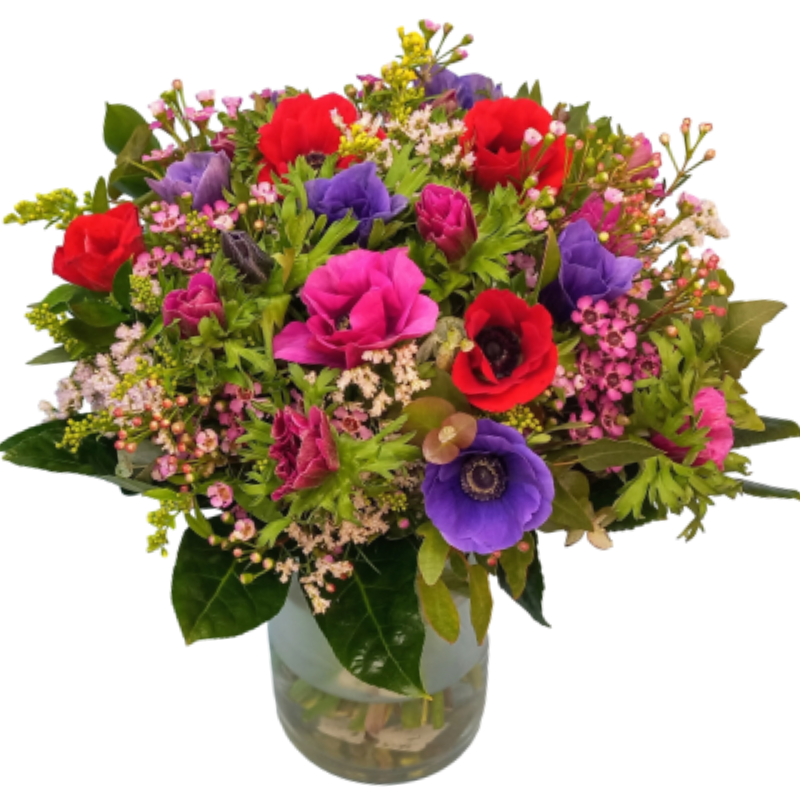 מייזר כלניות צבעוני