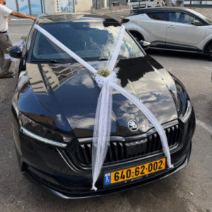 קישוט רכב חתונה גיבסנית - X