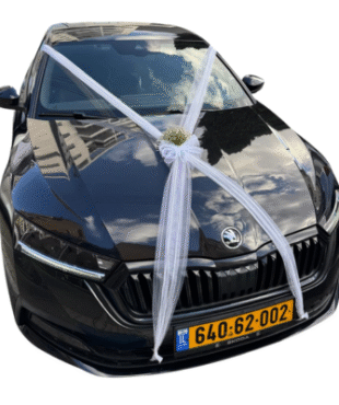 קישוט רכב חתונה גיבסנית - X