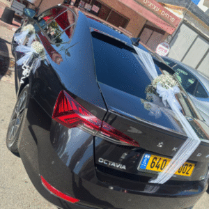 קישוט רכב חתונה גיבסנית - X