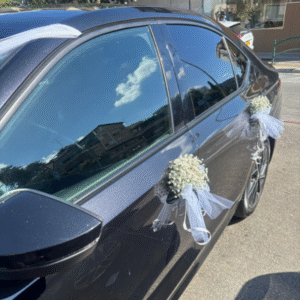 קישוט רכב חתונה גיבסנית - X