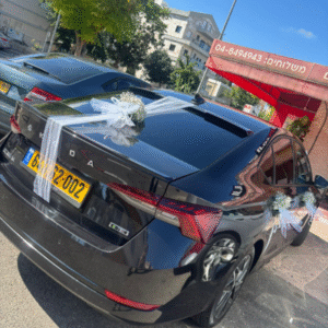 קישוט רכב חתונה גיבסנית - X