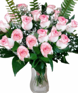 מייזר אלגנטית ורוד