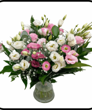 מייזר ליזי ורוד-לבן