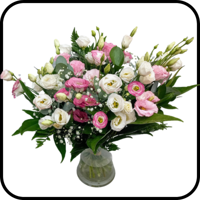 מייזר ליזי ורוד-לבן