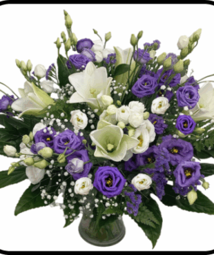 מייזר מלכותית