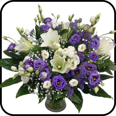 מייזר מלכותית