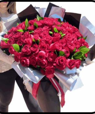 מייזר דניאל ורדים אדומים