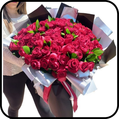 מייזר דניאל ורדים אדומים