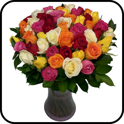 מייזר שובל ורדים צבעוניים