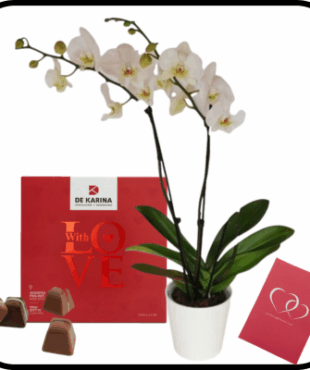 דיל סחלב גבוה ופרלינים 9 אהבה