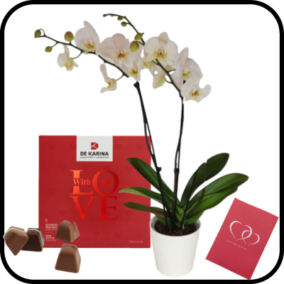 דיל סחלב גבוה ופרלינים 9 אהבה