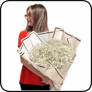 זר גיבסנית לבנה מהמם