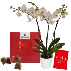 דיל סחלב גבוה ופרלינים 9 אהבה