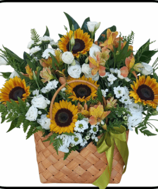 סידור חמניות שמש בכלי קלוע