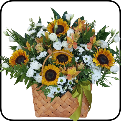 סידור חמניות שמש בכלי קלוע