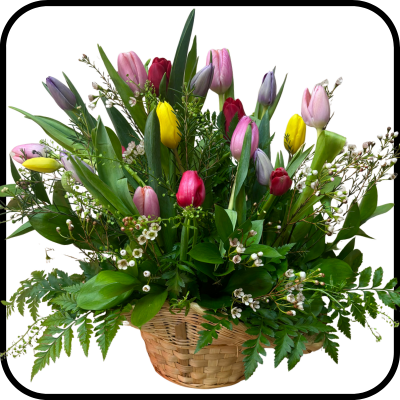 סידור טוליפים בסל