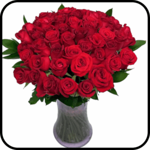 מייזר דניאל ורדים אדומים