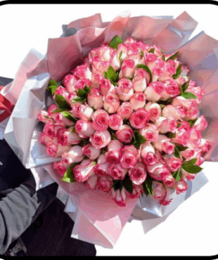 מייזר ליאור ורדים ורודים