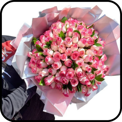 מייזר ליאור ורדים ורודים