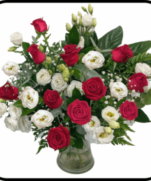 מייזר הרמוניה