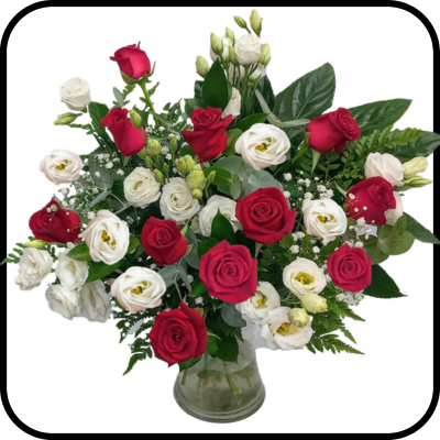 מייזר הרמוניה