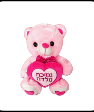 דובי פרווה נסיכה נולדה