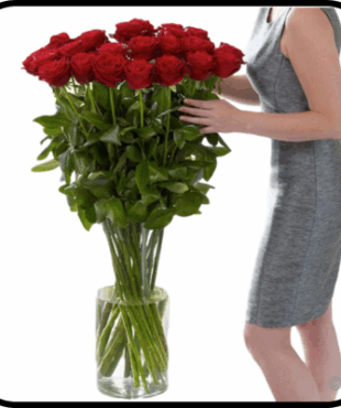 מייזר ורדים גבוהים מגדל אייפל