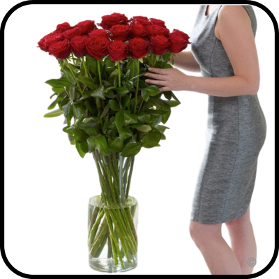 מייזר ורדים גבוהים מגדל אייפל