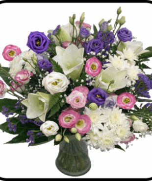 מייזר אליזבת