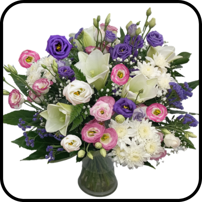 מייזר אליזבת