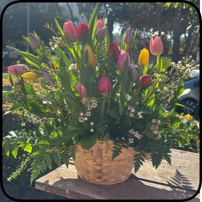 סידור טוליפים בסל