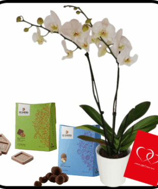 דיל סחלב גבוה ופינוקי שוקולד