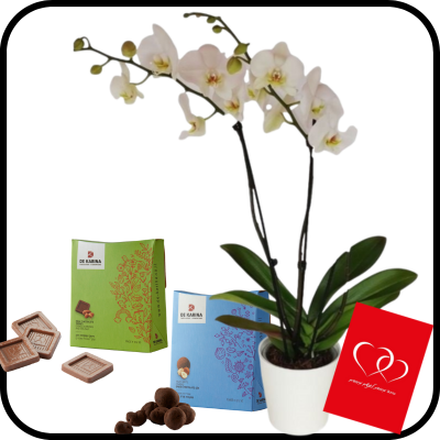 דיל סחלב גבוה ופינוקי שוקולד