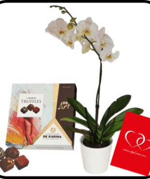 דיל סחלב גבוה וטראפלס