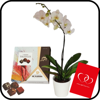 דיל סחלב גבוה וטראפלס