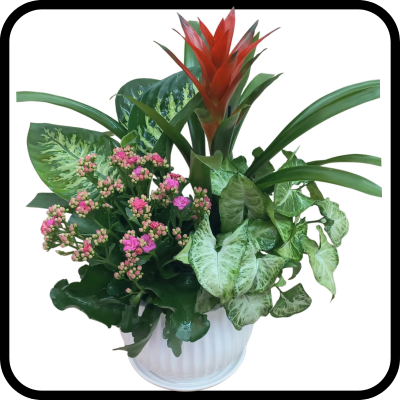 קוקטייל פורחים גדול בכלי קרמיקה