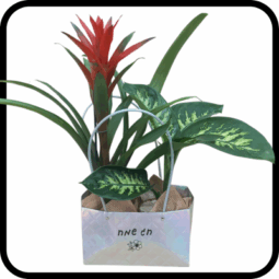 תיק עציצים חג שמח