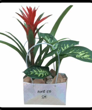 תיק עציצים חג שמח