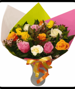 מייזר אלגנטית צבעונית