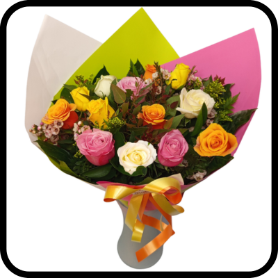 מייזר אלגנטית צבעונית